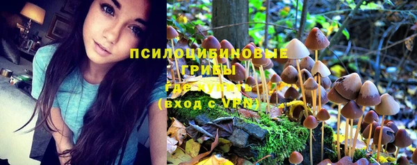 крисы Балабаново