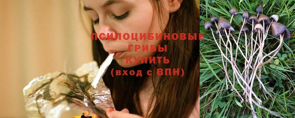 ПСИЛОЦИБИНОВЫЕ ГРИБЫ Семилуки